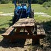 Arlen Woods Photo 13