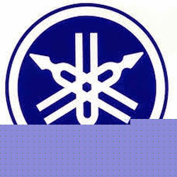 Dennis Nichols Photo 12