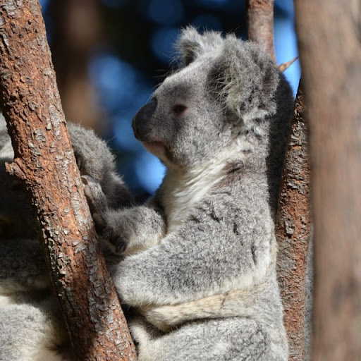 Thomas Hubert Photo 14