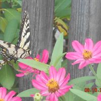 Kathy Light Photo 11