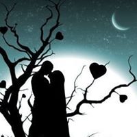 Dani Mccarthy Photo 6