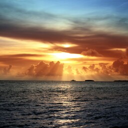 Gail Kelley Photo 29