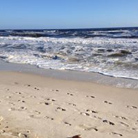 Linda Brewer Photo 44