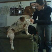 Kristen Estes Photo 6
