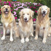 Michelle Peirce Photo 9