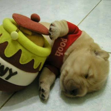 Dave Hahn Photo 17 Dave Hahn Photo 17