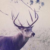 Willie Barrow Photo 19