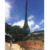 Michael Clemente Photo 17