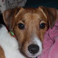 Kathy Kinney Photo 7