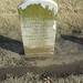 Kathleen Cavanaugh Photo 12