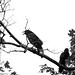 Richard Poe Photo 15