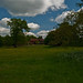 Gilbert White Photo 24