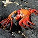 Sally Stone Photo 21
