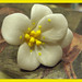 Lily Craft Photo 3