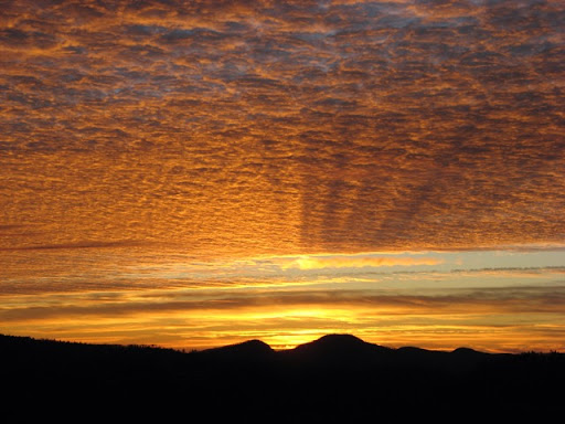 Robert Goddard Photo 26 Robert Goddard Photo 26