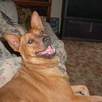 John Smethers Photo 11