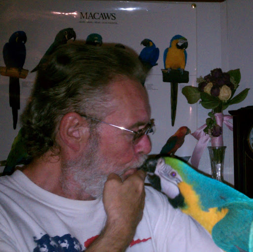 David Howell Photo 60 David Howell Photo 60