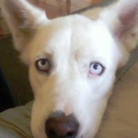 Rachel Ellis Photo 38