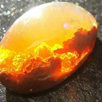 Brenda Simms Photo 14