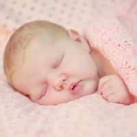 Cherise Ross Photo 6