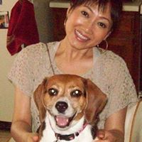 Cheng Hsieh Photo 22