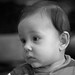 Thomas Budd Photo 25
