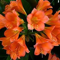 Kristi Groves Photo 17