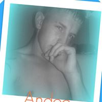 Andy Whiting Photo 13 Andy Whiting Photo 13