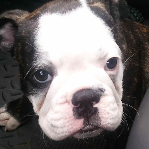 Donnie Johnson Photo 32