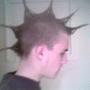 James Stevenson Photo 19