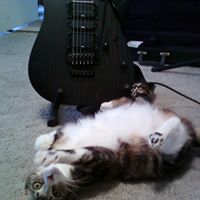 Rick Pritchett Photo 21 Rick Pritchett Photo 21