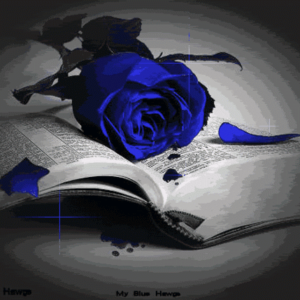 Kathleen Cline Photo 5