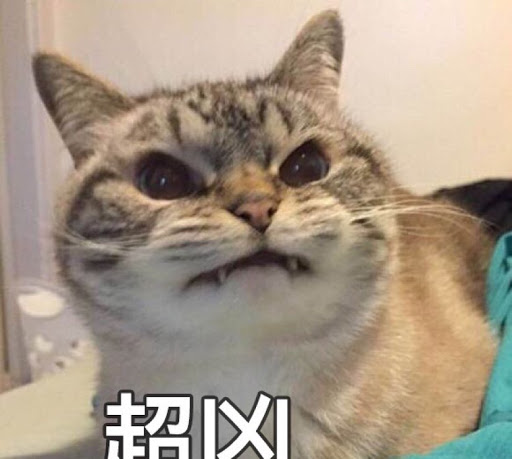 Bing Zhu Photo 30