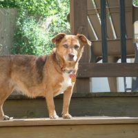 Eddie Copeland Photo 16 Eddie Copeland Photo 16