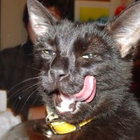 Benjamin Walters Photo 31