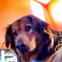 Kimberly Mullis Photo 11