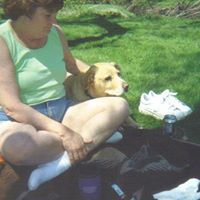 Cheryl Schulz Photo 6