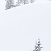 Bryan Fox Photo 25