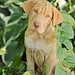 Jill Fleming Photo 9