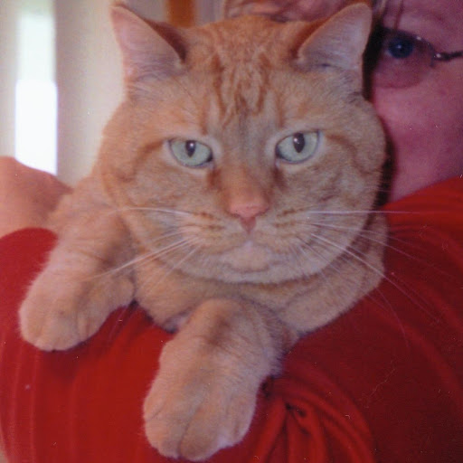 Nancy Cameron Photo 25