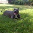 Sandra Hendrickson Photo 13