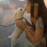Christine Fong Photo 8