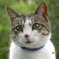 Sadie Mcdaniel Photo 7