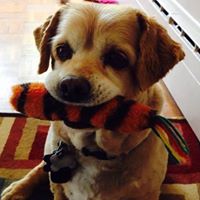 Jean Hudson Photo 41