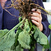 Debbie Root Photo 33