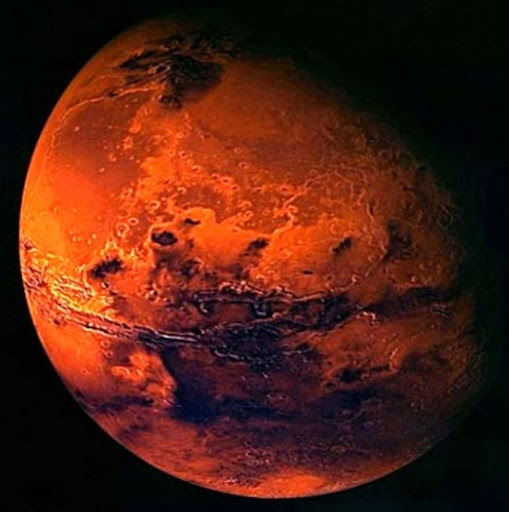 Marsha Davis Photo 11