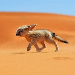 Mary Buehler Photo 28