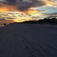 Wanda Dillard Photo 29