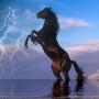 Sandy Herrmann Photo 10