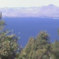 Maximo Peralta Photo 5